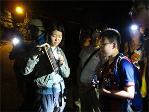 Night Safari in Lung Fu Shan