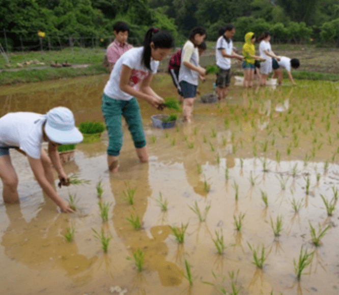 A pioneering sustainable development initiative for rural Hong Kong