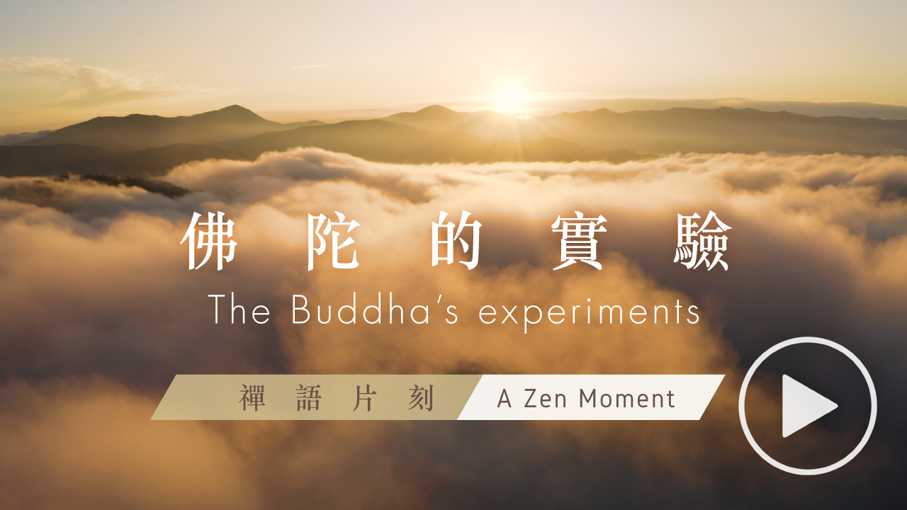 【禪語片刻 A Zen Moment】 第一集 佛陀的實驗 | EP1 The Buddha’s experiments