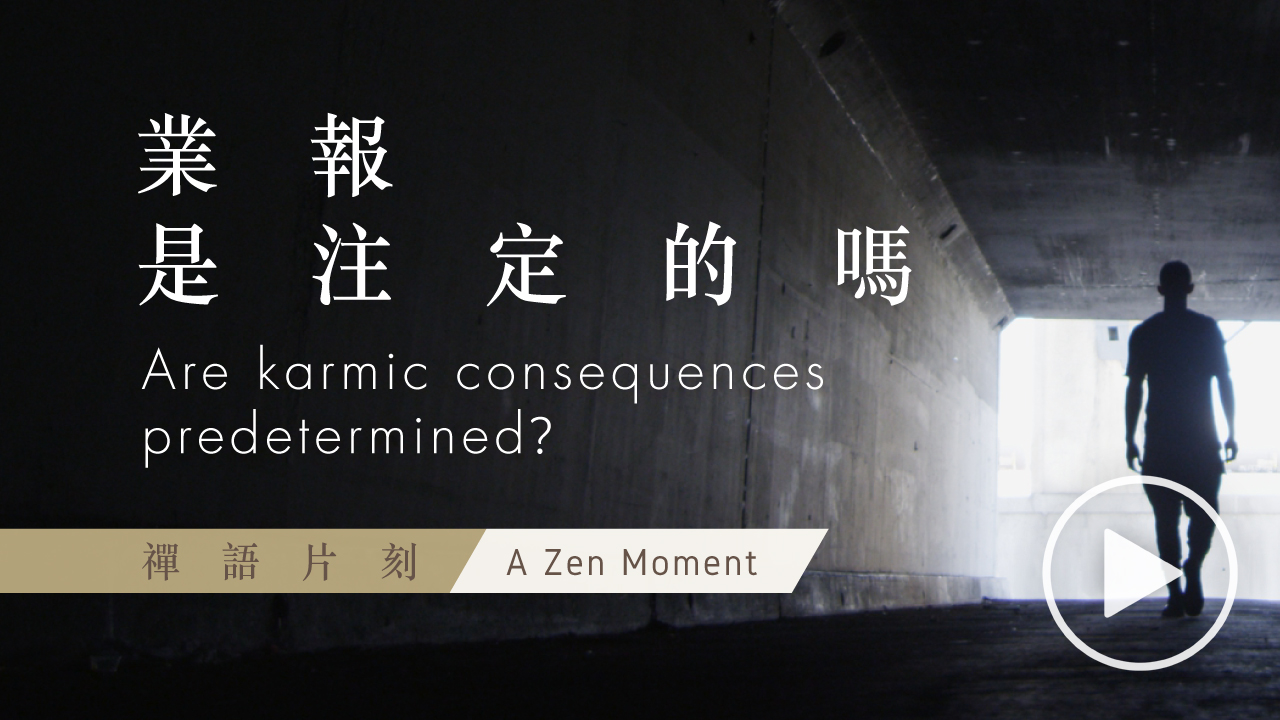 【禪語片刻 A Zen Moment】 第三集 業報是注定的嗎 | EP3 Are karmic consequences predetermined?