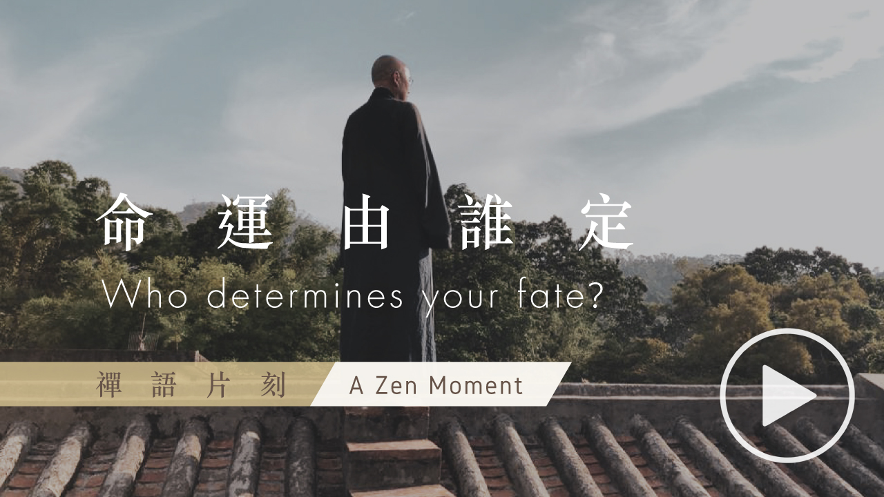 【禪語片刻 A Zen Moment】 第六集 命運由誰定 | EP6 Who determines your life?
